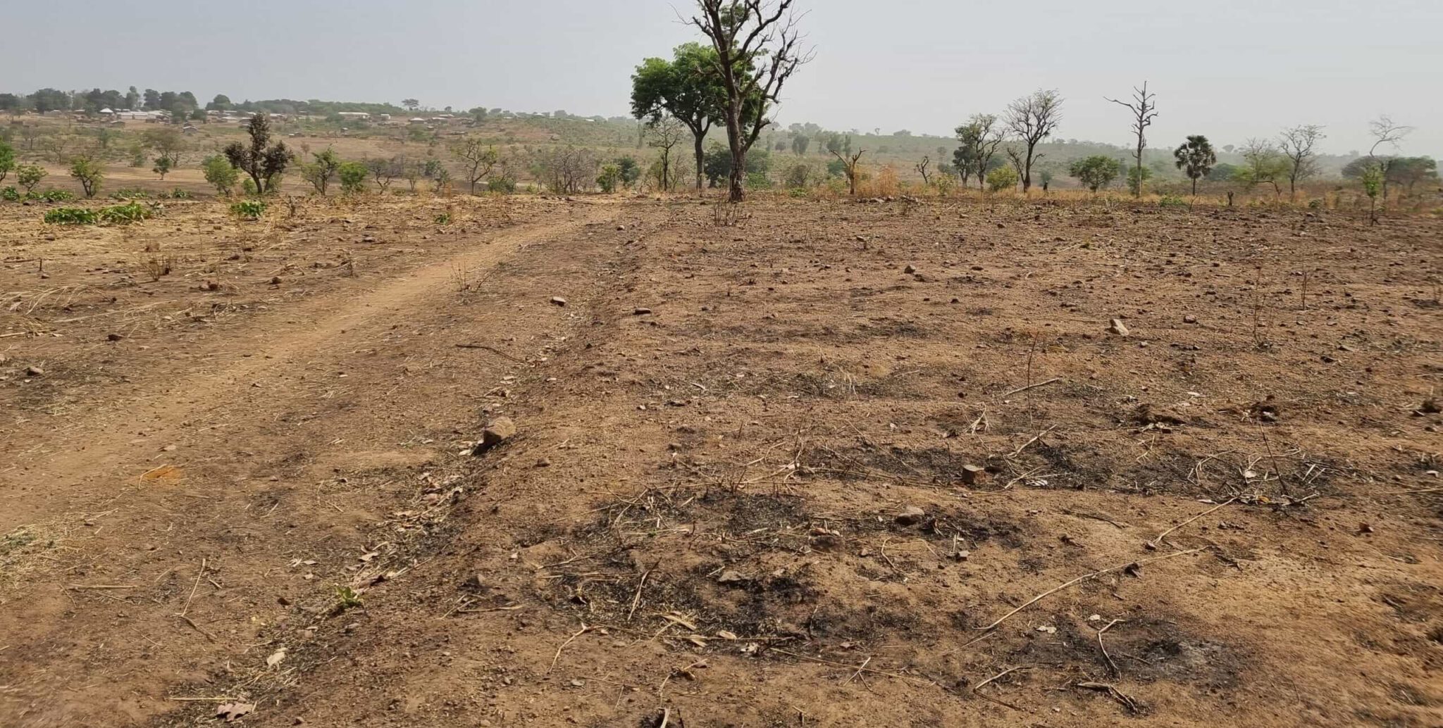 Mbe Anomaly 20220319 094726 Scaled E1658433439113 Min