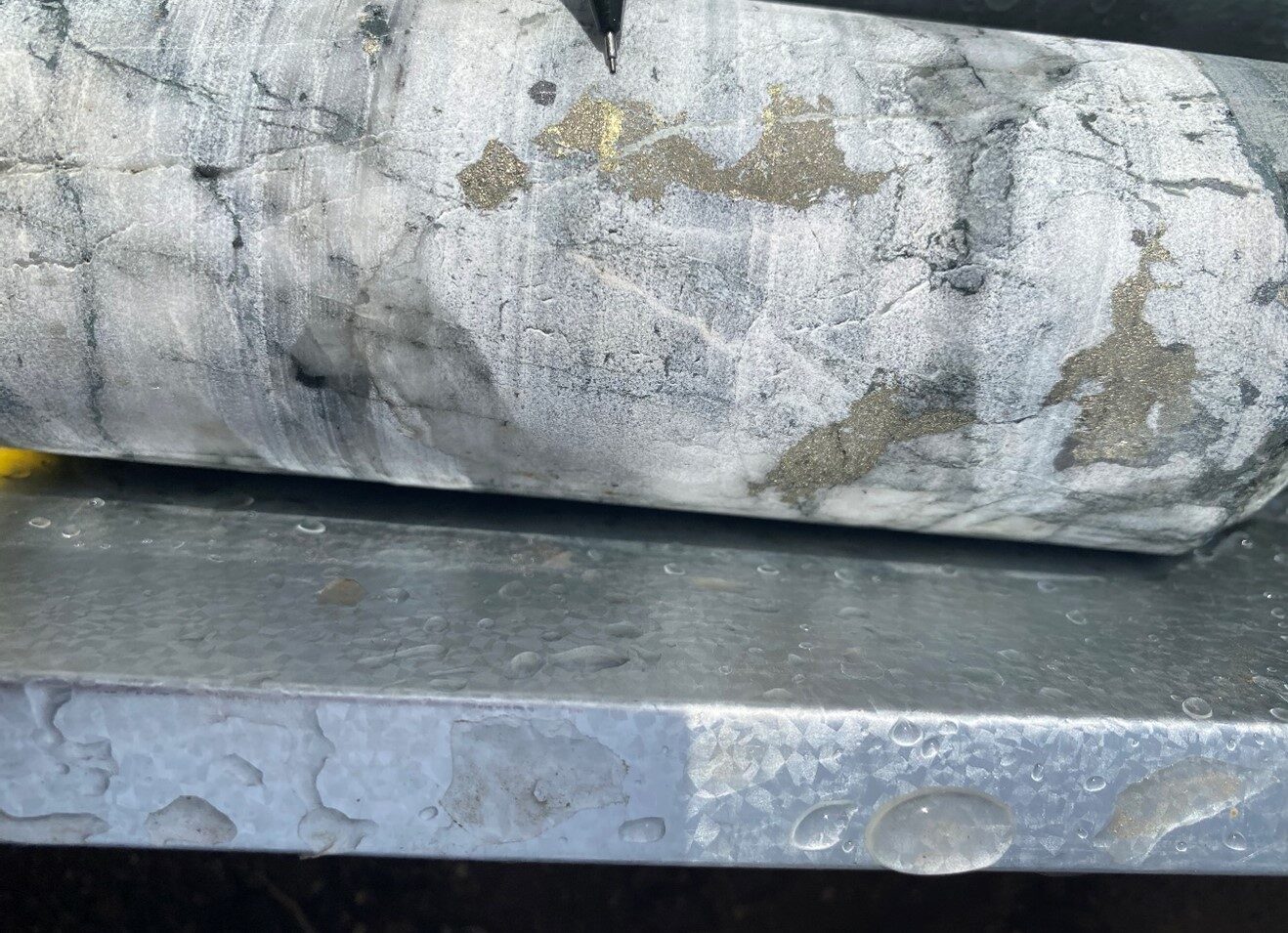 Visible Gold In 20cm Wide Quartz Vein In Bbdd020 E1658435057840