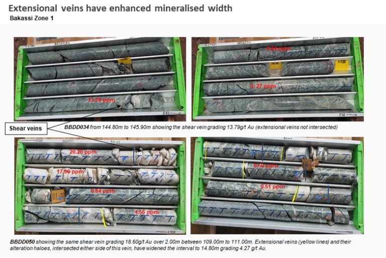 Bibemi Phase 4 Illustration Photos 14.09.22 V3 E1663189429104 768x513