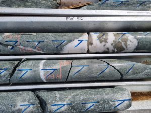 Close Up Of Sulphides In Shear Zone Veins