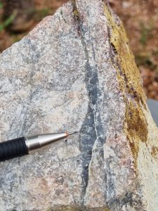Dark Grey Smokey Quartz Veins Within Altered Host With Visible Sulphides