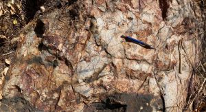 Highly Silicified Host With Visible Mm To Cm Scale Anasotomosing Grey Smokey Quartz Veins And Veinlets 8 Gt Au