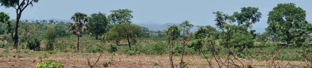 Mbe Scenic E1736860391809