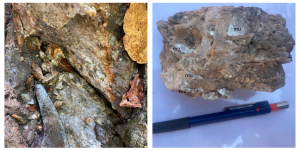 Ndom Sheared Pegmaties And Large Cm Scale Muscovite Plates