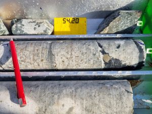 Strong Pervasive Sulphidation And Silicification Of Tonalite With Hydrothermal Tourmaline In Veins Bbdd0004 Bakassi Zone 1 March 2021