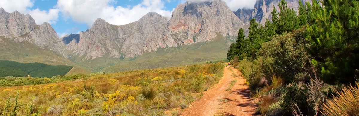 Stratex International Exploration